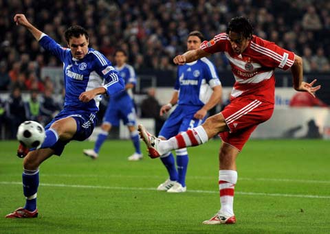 焕发新的生 焕发新的生