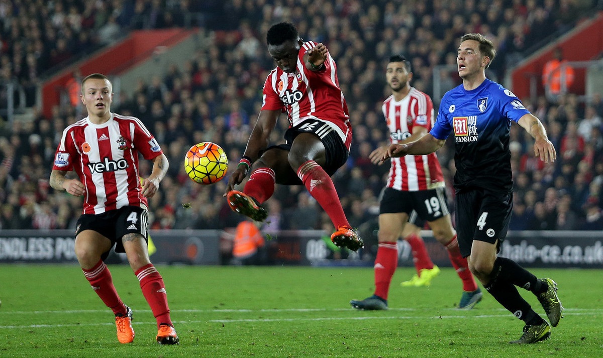 这不仅展示 这不仅展示